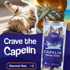 Freeze-Dried Capelin | Calcium-Rich for Strong Bones & Teeth | Whole Fish Nutrition | Cat & Dog