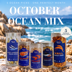 SeafoodBuddy | OCTOBER OCEAN MIX | Official Website Deals ⚡️📦