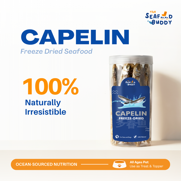 Freeze-Dried Capelin | Calcium-Rich for Strong Bones & Teeth | Whole Fish Nutrition | Cat & Dog