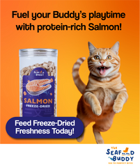 Salmon 0.8cm Bites 135G | Shinier Coat & Healthier Skin | Omega-3 Rich | Cat & Dog