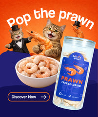 Prawn | High Protein for Strong Muscles & Energy | Irresistible Taste | Cat & Dog