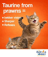 Prawn | High Protein for Strong Muscles & Energy | Irresistible Taste | Cat & Dog