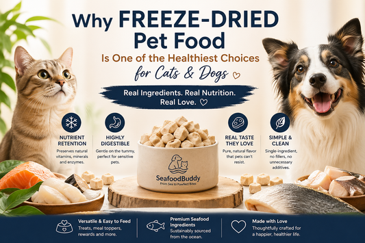 Why Freeze-Dried Pet Food Is One of the Healthiest Choices for Cats & Dogs ?