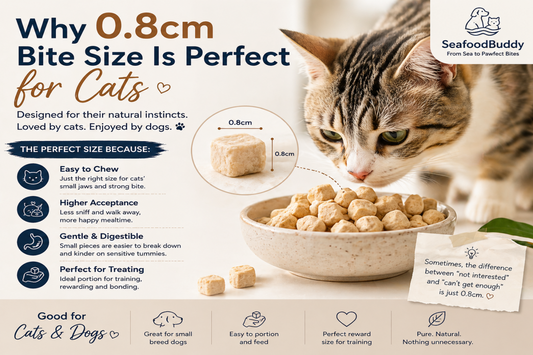 Why 0.8cm Bite Size Is Perfect for Cats (And Loved by Dogs Too)