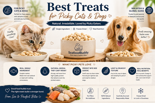 Best Treats for Picky Cats & Dogs (Feeding Guide)