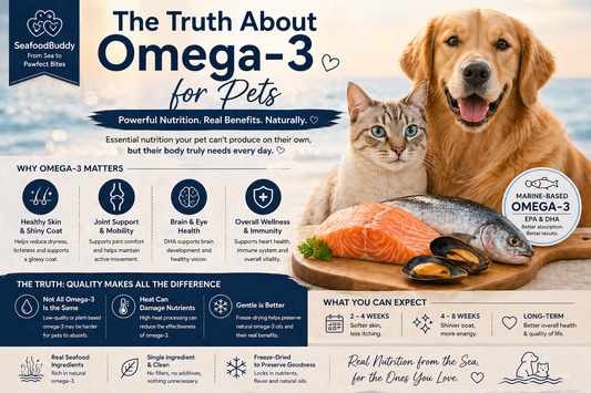 The Truth About Omega-3 for Pets: What Every Owner Should Know?