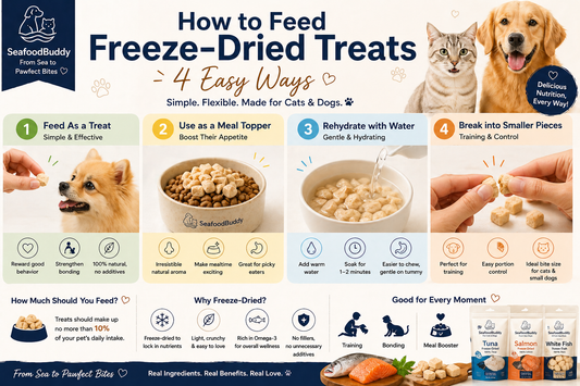 How to Feed Freeze-Dried Treats (4 Easy Ways for Cats & Dogs)