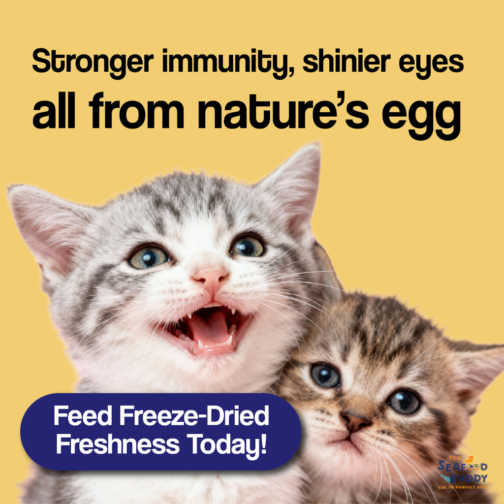 🥚 Freeze-Dried Quail Egg Yolk [Cats/Dogs] 290G