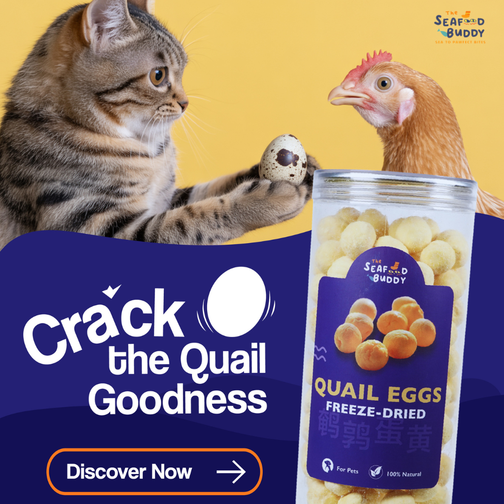 🥚 Freeze-Dried Quail Egg Yolk [Cats/Dogs] 290G