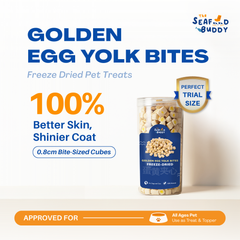 SeafoodBuddy Freeze-Dried Golden Egg Yolk Bites 70g | Chicken & Egg Yolk Cat Dog Treat | Balanced Diet Treats
