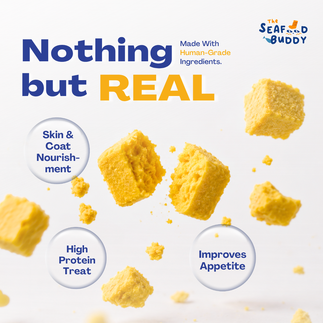Egg Yolk 0.8cm - Perfect Bite Size For Cats & Dogs  [Small & Senior Pets]