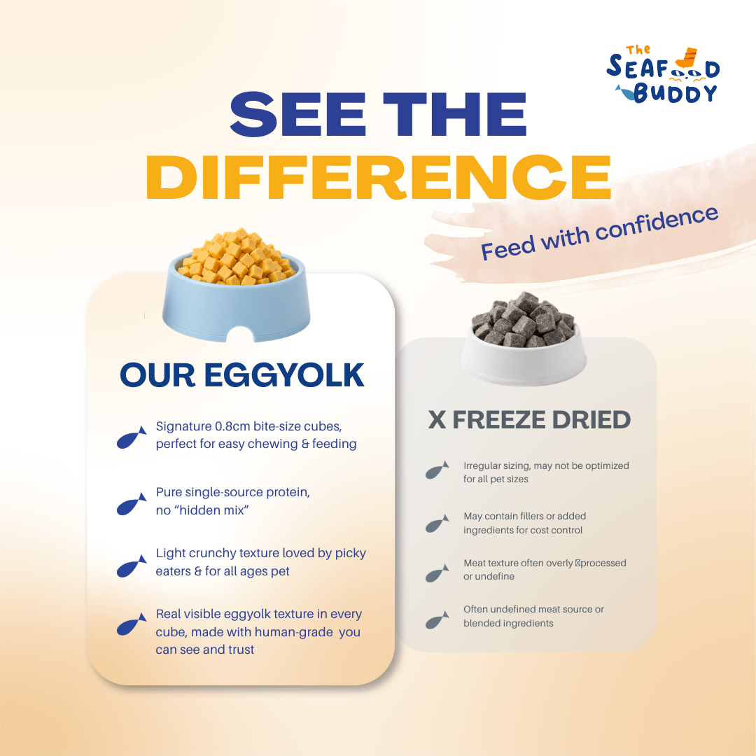 Egg Yolk 0.8cm - Perfect Bite Size For Cats & Dogs  [Small & Senior Pets]