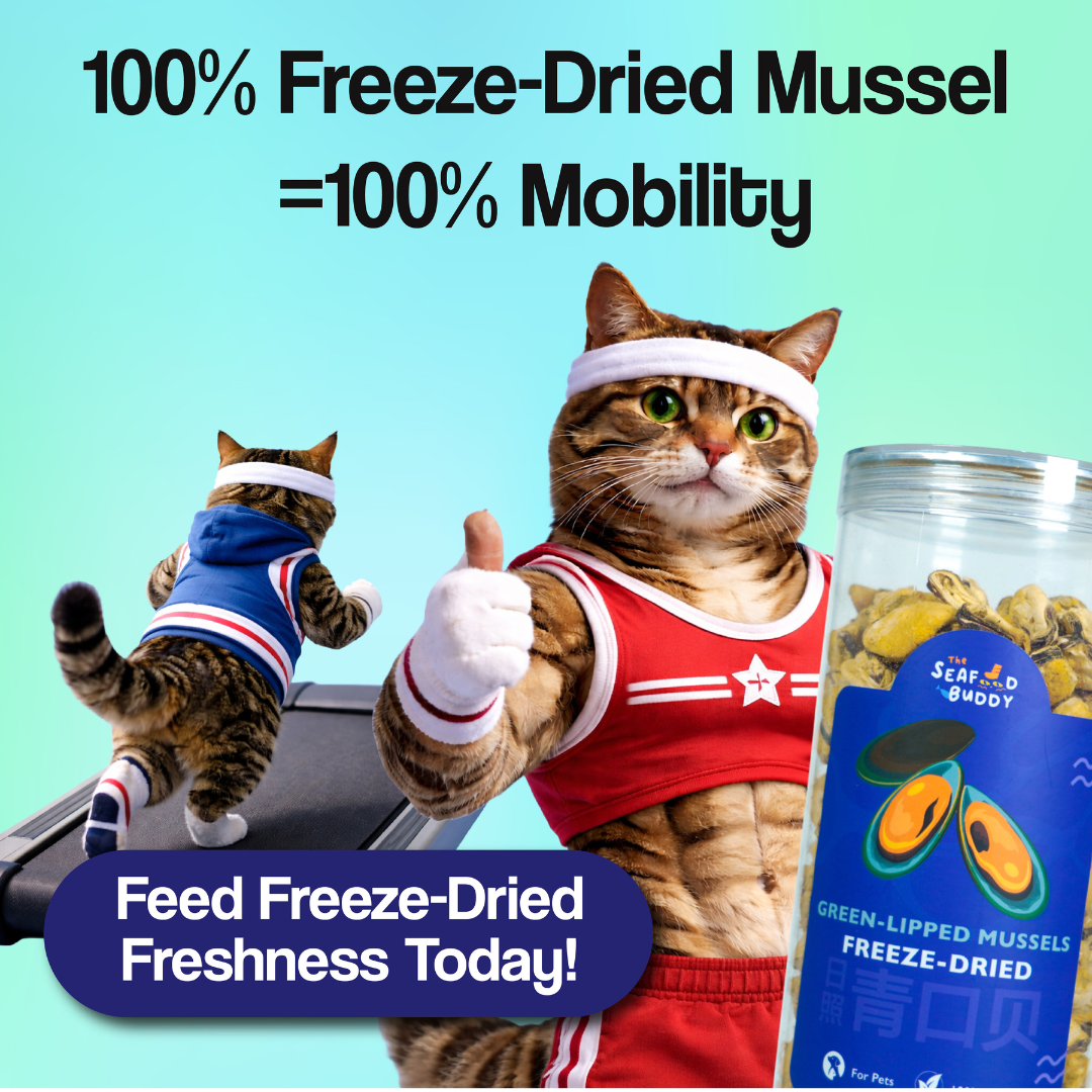 Green Lipped Mussels – The Ultimate Joint-Support Treat! 🐾