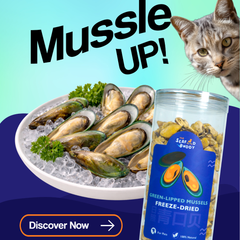 Green Lipped Mussels – The Ultimate Joint-Support Treat! 🐾