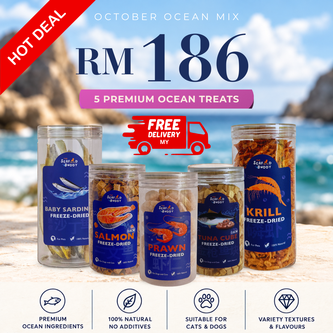 SeafoodBuddy |  OCTOBER OCEAN MIX | Official Website Deals ⚡️📦