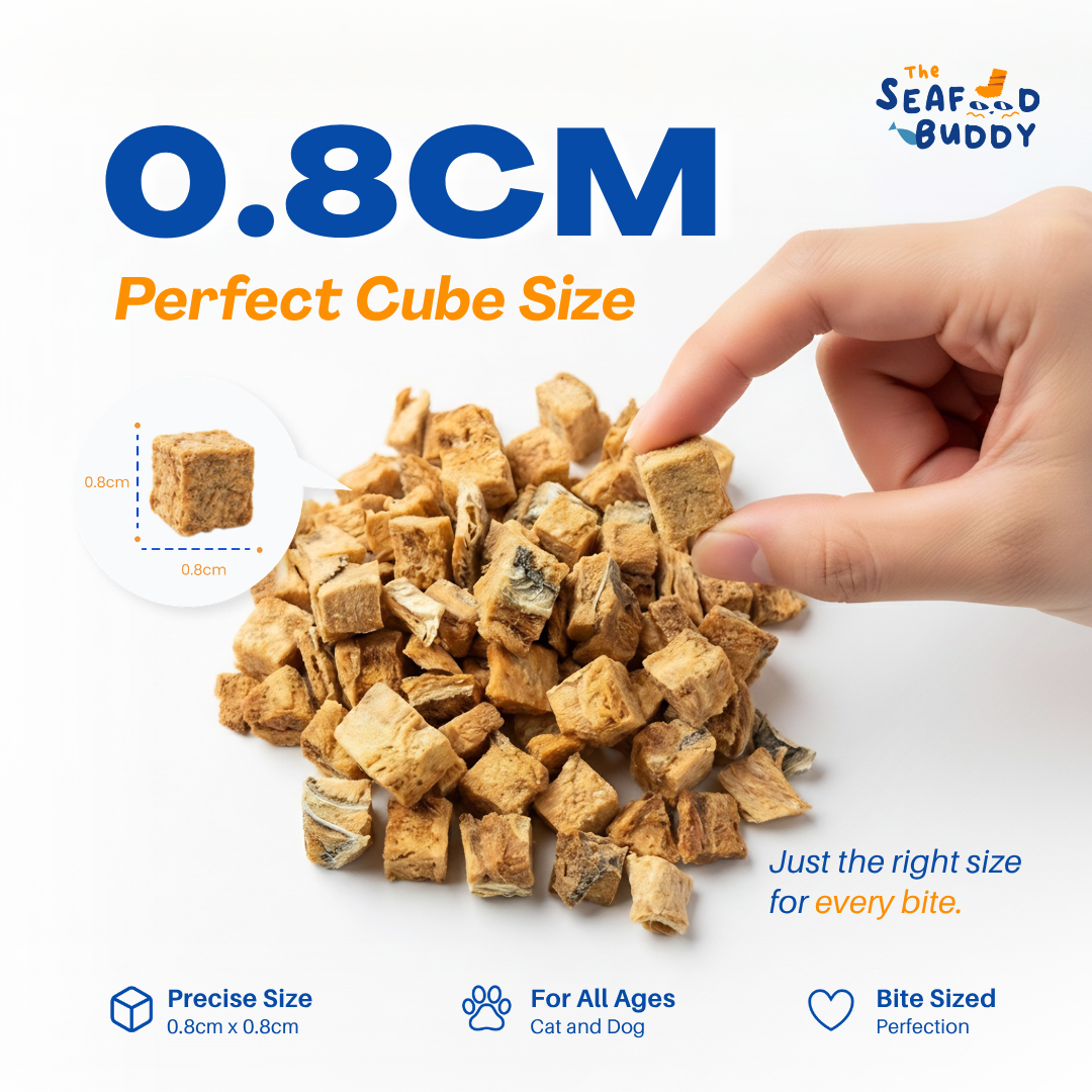 SeafoodBuddy |  OCTOBER OCEAN MIX | Official Website Deals ⚡️📦