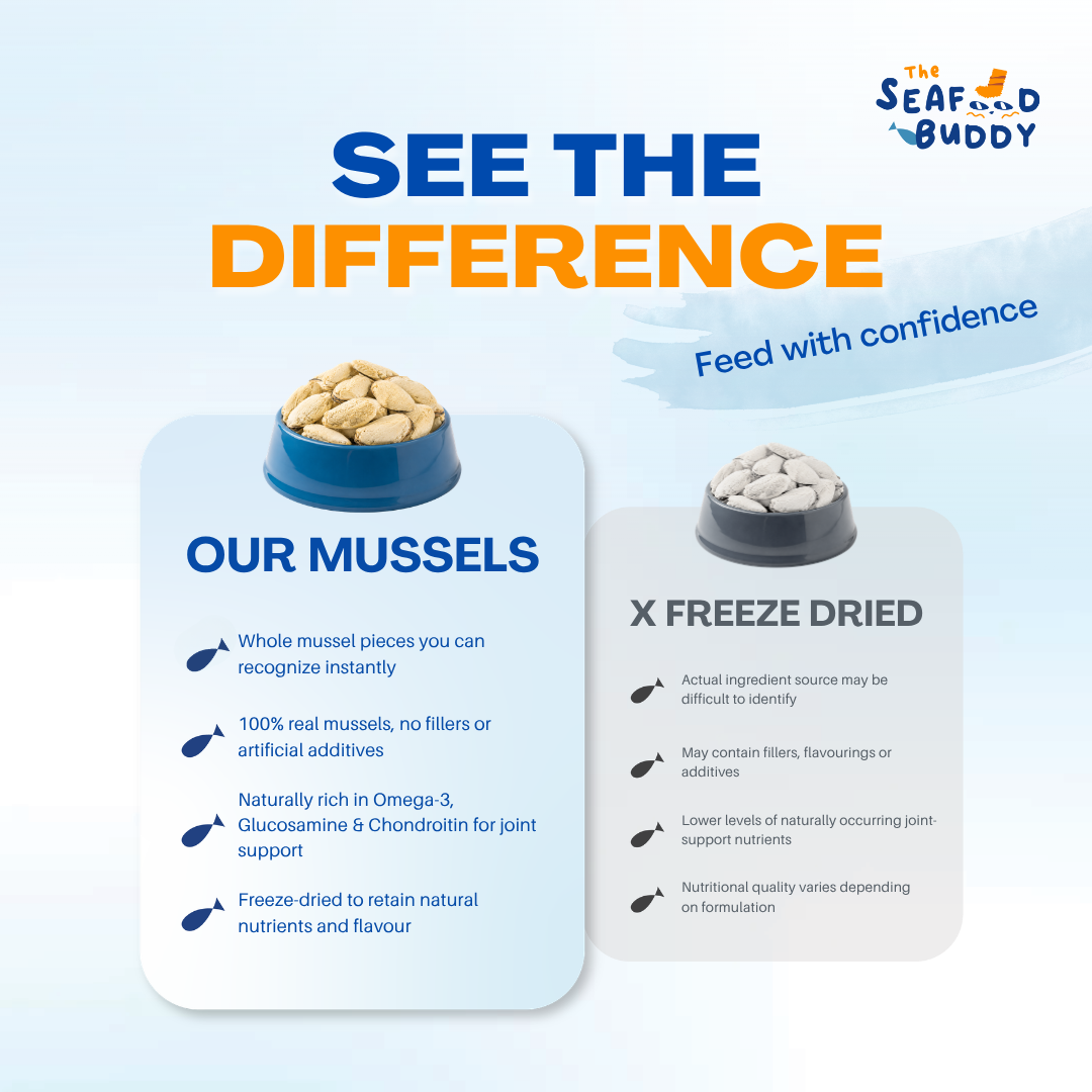 Green Lipped Mussels – The Ultimate Joint-Support Treat! 🐾