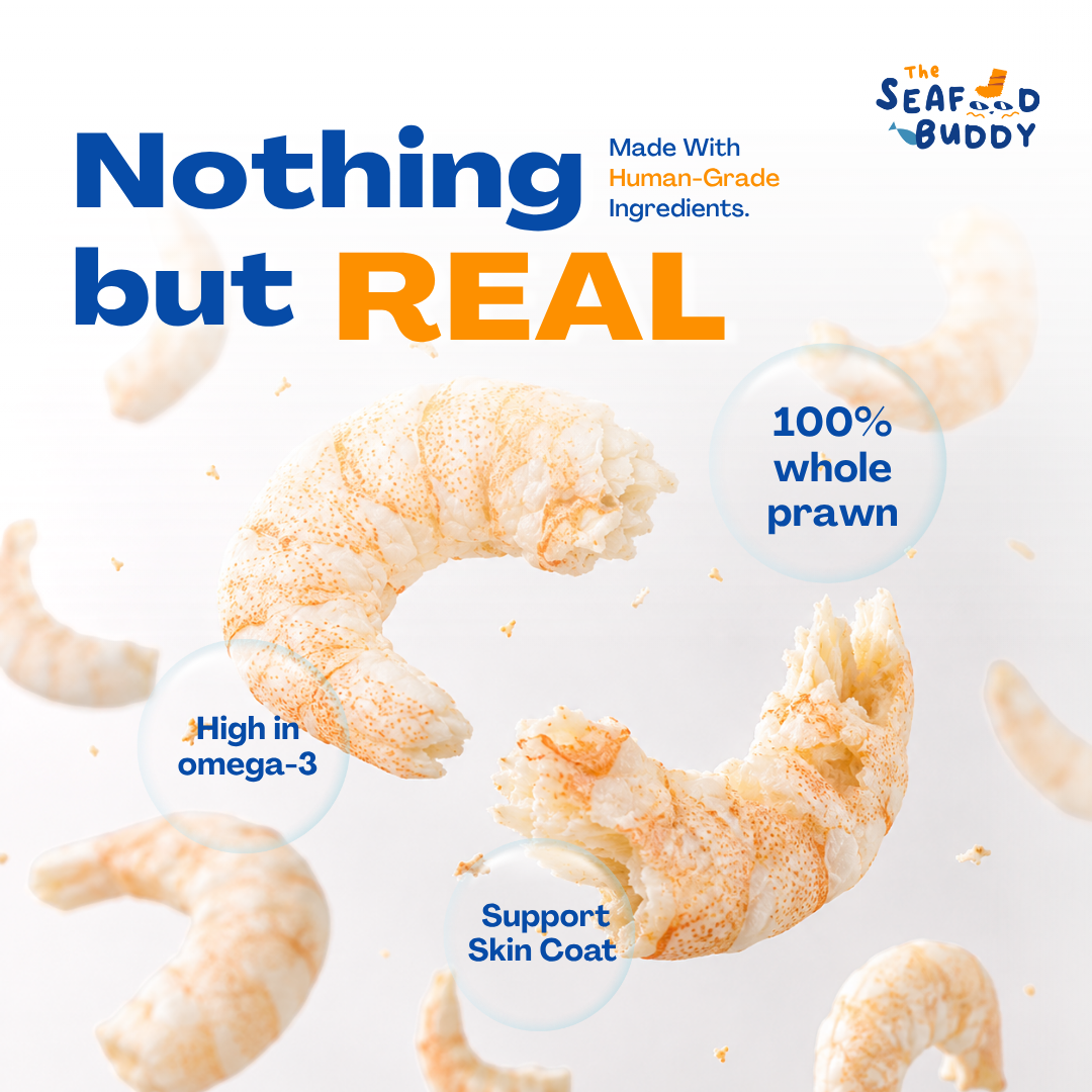 Prawn | High Protein for Strong Muscles & Energy | Irresistible Taste | Cat & Dog