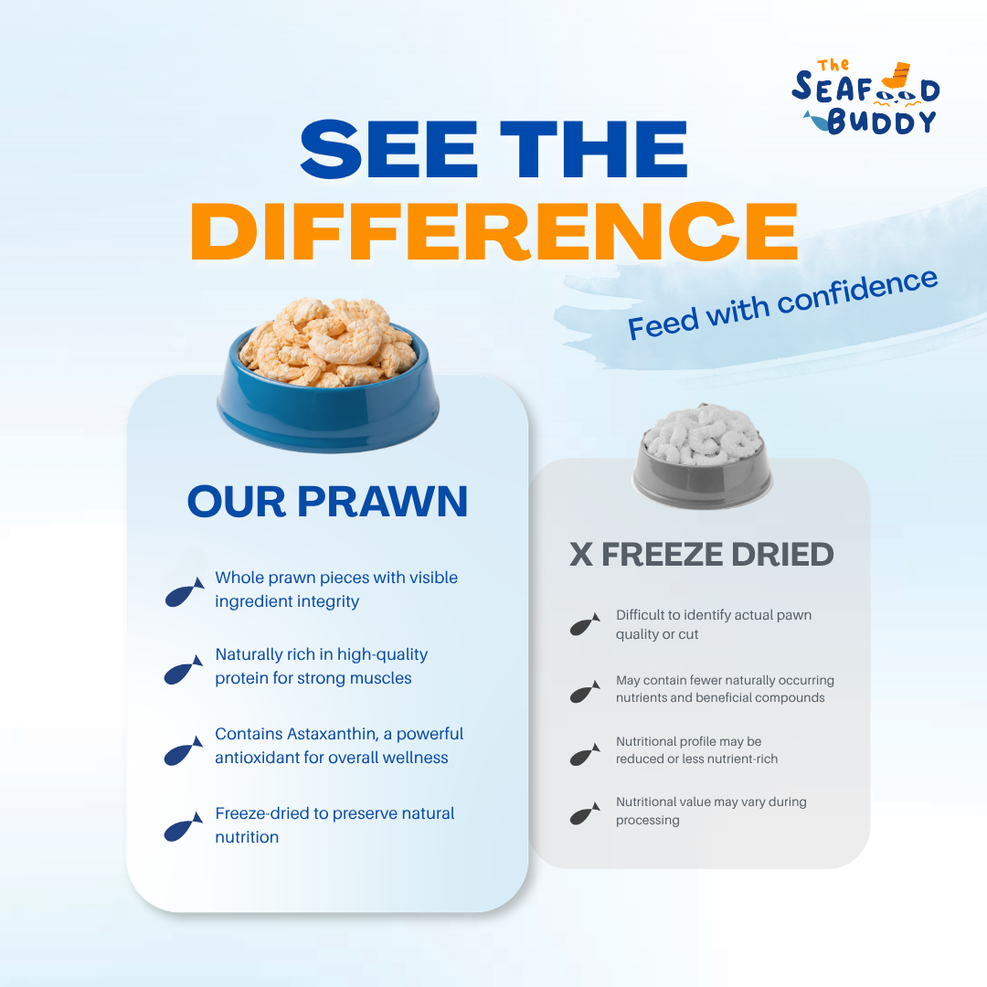 Prawn | High Protein for Strong Muscles & Energy | Irresistible Taste | Cat & Dog
