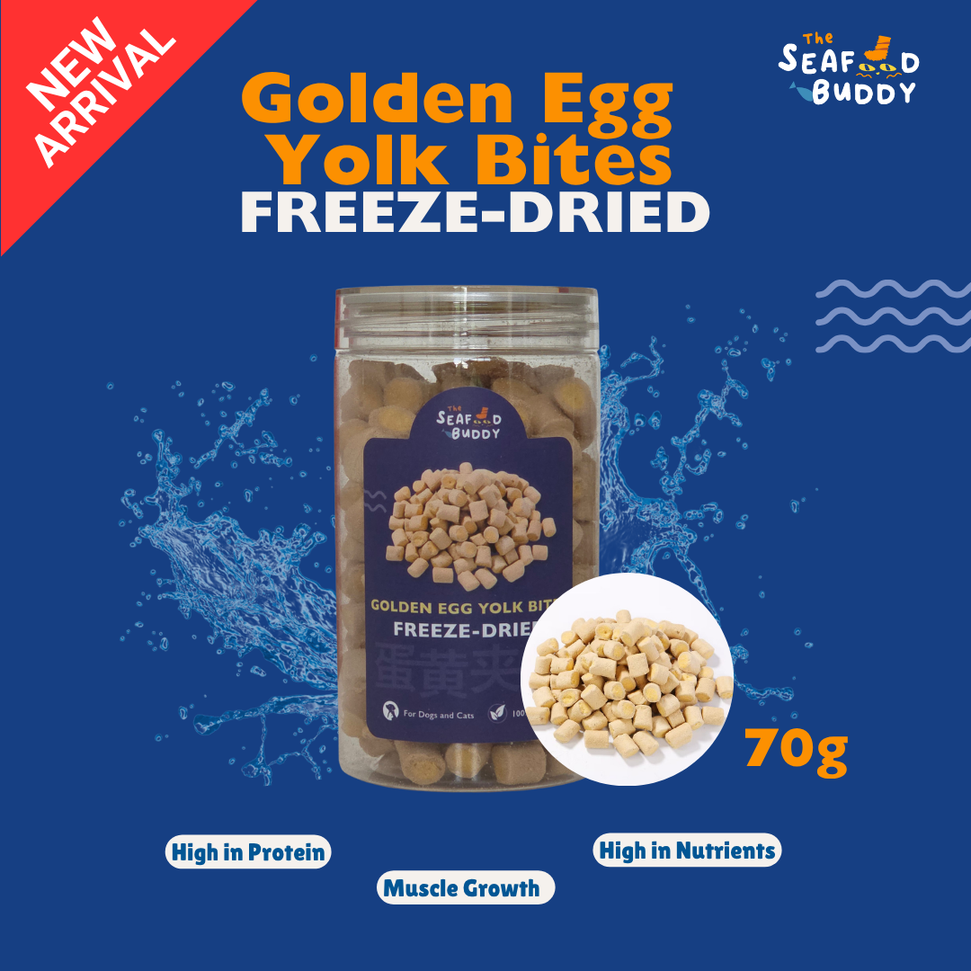 🥚 Freeze-Dried Quail Egg Yolk [Cats/Dogs] 290G