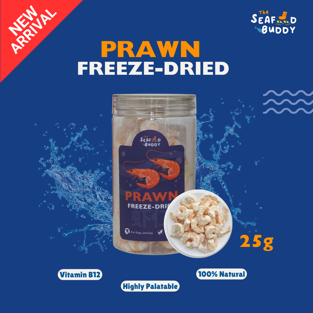 Prawn | High Protein for Strong Muscles & Energy | Irresistible Taste | Cat & Dog