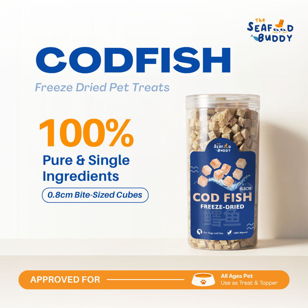Cod Fish Freeze-Dried Pet Treats | Seafoodbuddy MY – Seafoodbuddy_my