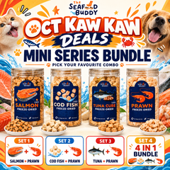 SeafoodBuddy October Kaw Kaw [Mini Series Bundle] Official Website Deals ⚡️📦