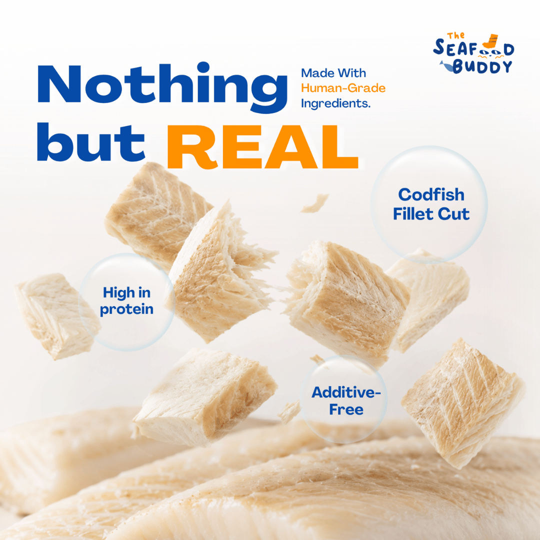SeafoodBuddy Freeze-Dried Cod Fish Fillet | Natural Seafood Cat & Dog Treat | High Protein Treats, Dental Cleaner